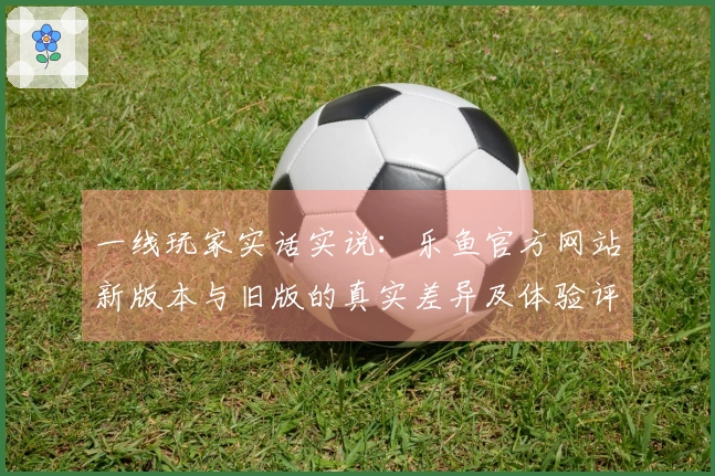 一线玩家实话实说：乐鱼官方网站新版本与旧版的真实差异及体验评测