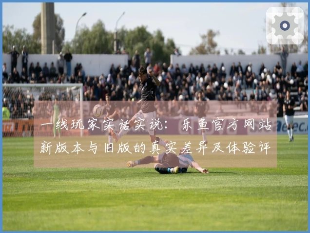 一线玩家实话实说：乐鱼官方网站新版本与旧版的真实差异及体验评测