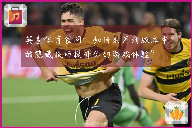 英皇体育官网：如何利用新版本中的隐藏技巧提升你的游戏体验？